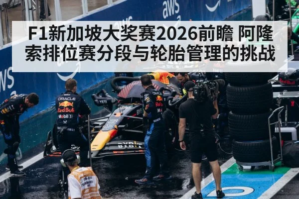 formula 1 tires pit stop